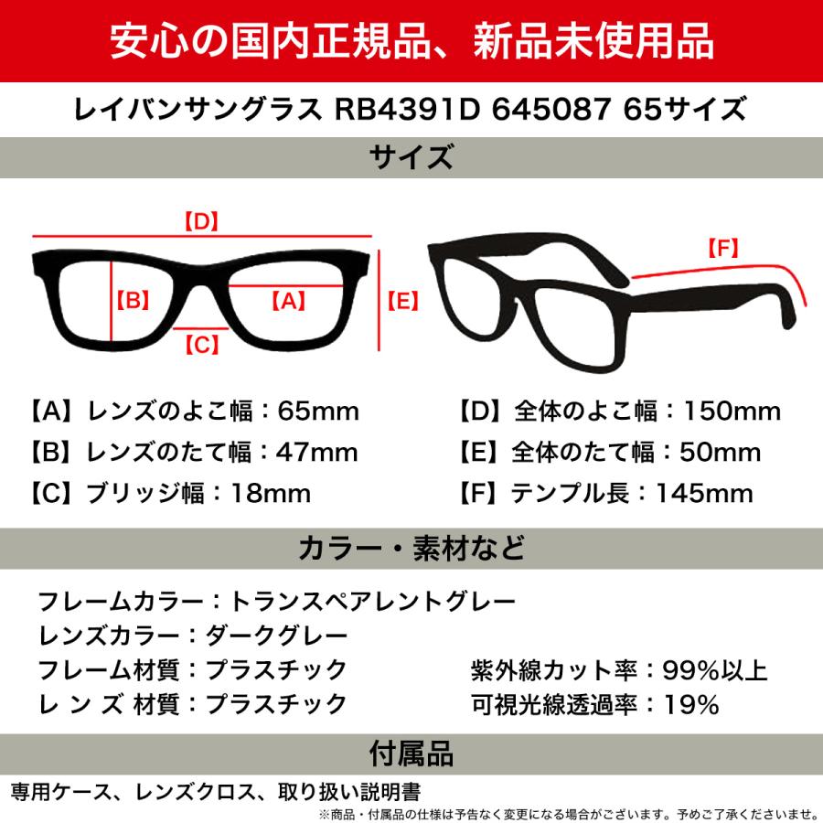 Ray-Ban（レイバン） サングラス RB4391D 645087 65 Ray-Ban : メガネ