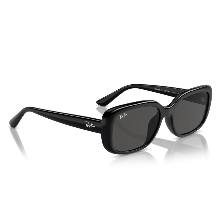 Ray-Ban レイバン サングラス RB4421D 6677/87 レイバン サングラス Ray-Ban RB4421D 667787 – GLASSMANIA