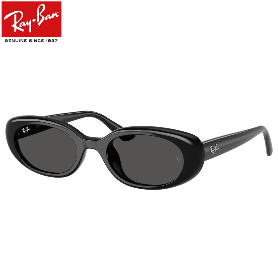 Ray-Ban（レイバン） RB4441D 667787 53 サングラス フラットレンズ