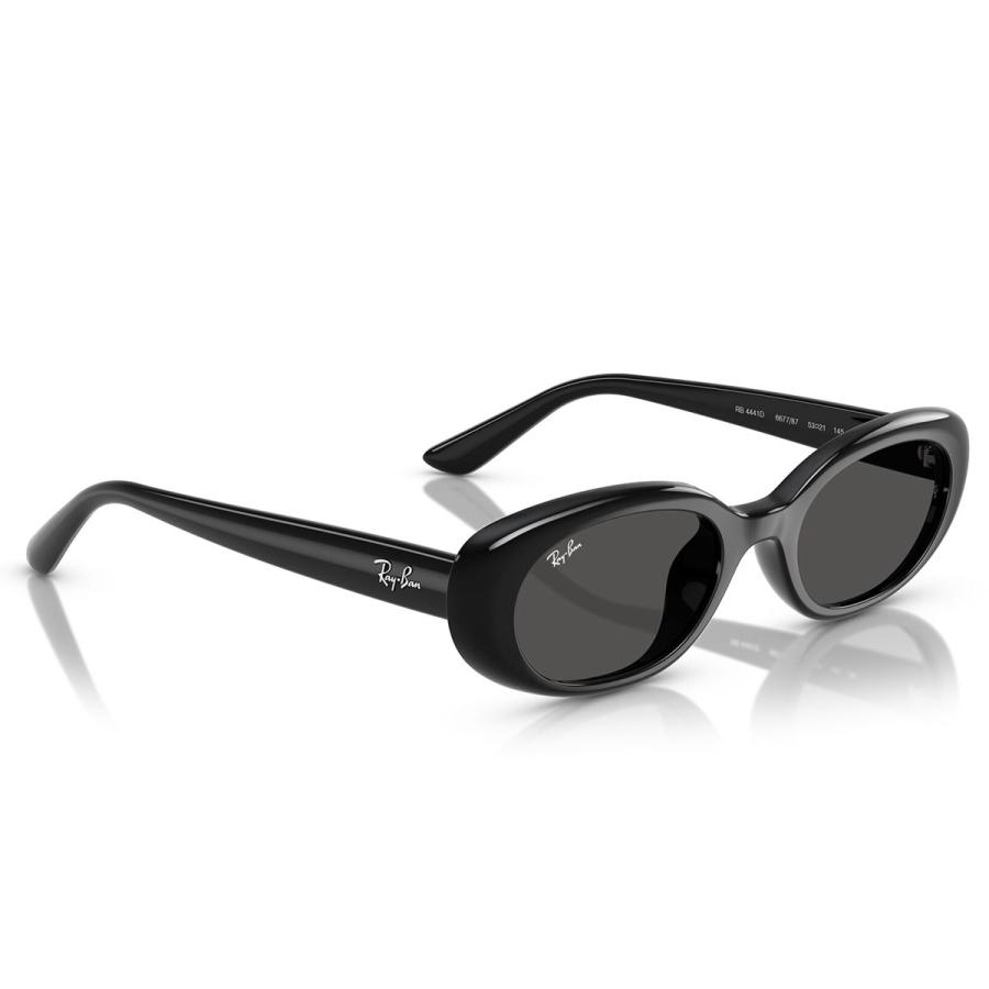 Ray-Ban（レイバン） RB4441D 667787 53 サングラス フラットレンズ