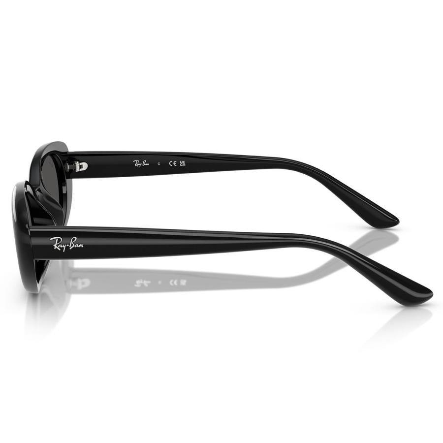 Ray-Ban（レイバン） RB4441D 667787 53 サングラス フラットレンズ