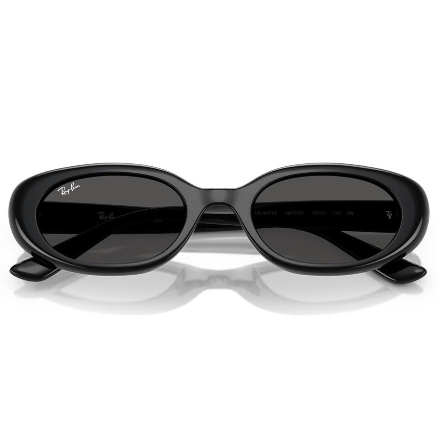 Ray-Ban（レイバン） RB4441D 667787 53 サングラス フラットレンズ