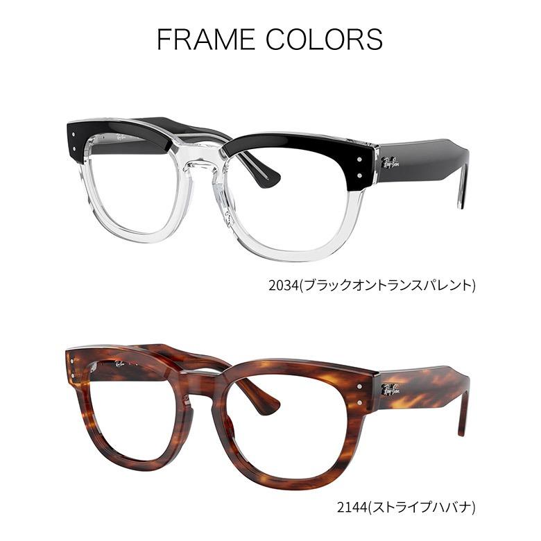 Ray-Ban（レイバン） RX0298VF 50サイズ コダック ポラマックス タフ