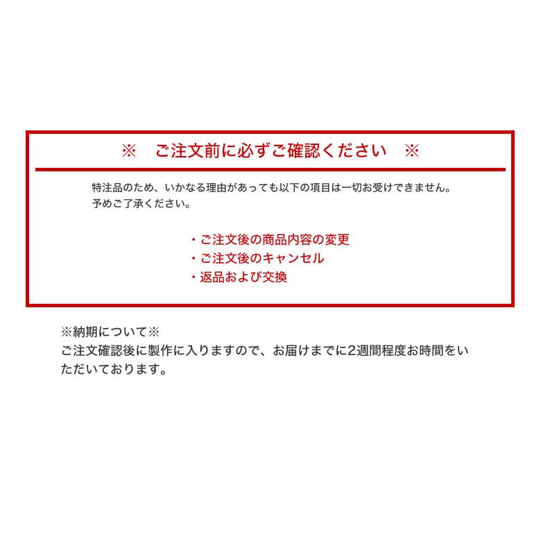 レイバン RX5598F 51サイズ サンテック ミスティ 調光 サングラス 眼鏡 度付き 色が変わる ライトカラー フォトクロミック Ray-Ban [OS]｜thats-net｜14