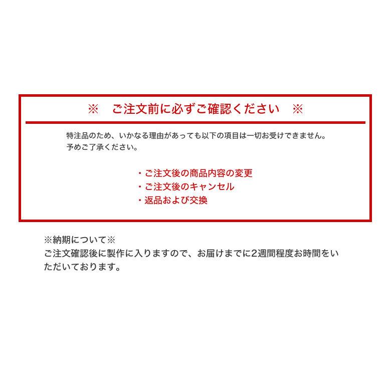 レイバン RX6448 48サイズ 51サイズ 54サイズ サンテック ミスティ ライトカラー 調光 サングラス ダテメガネ 色が変わる Ray-Ban | Ray-Ban | 11