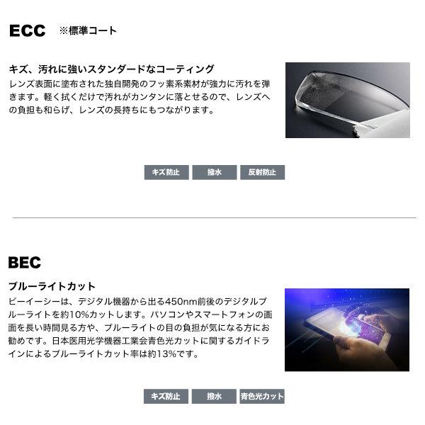 ニコン ビューフィット3 1.60球面 可視光調光レンズ カーブ付き対応 SSVF3 XTN NIKON VIEWFIT3 TRANSITIONS SIGNATURE GEN8 トランジションズ 度付き ブラウンのみ対応 　SM