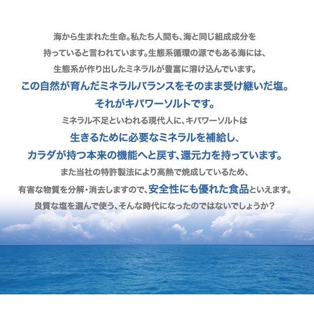 高熱焼成した安心な塩 キパワーソルト １袋250g 海から生まれた還元力を持つ塩 豊富なミネラル |  | 03