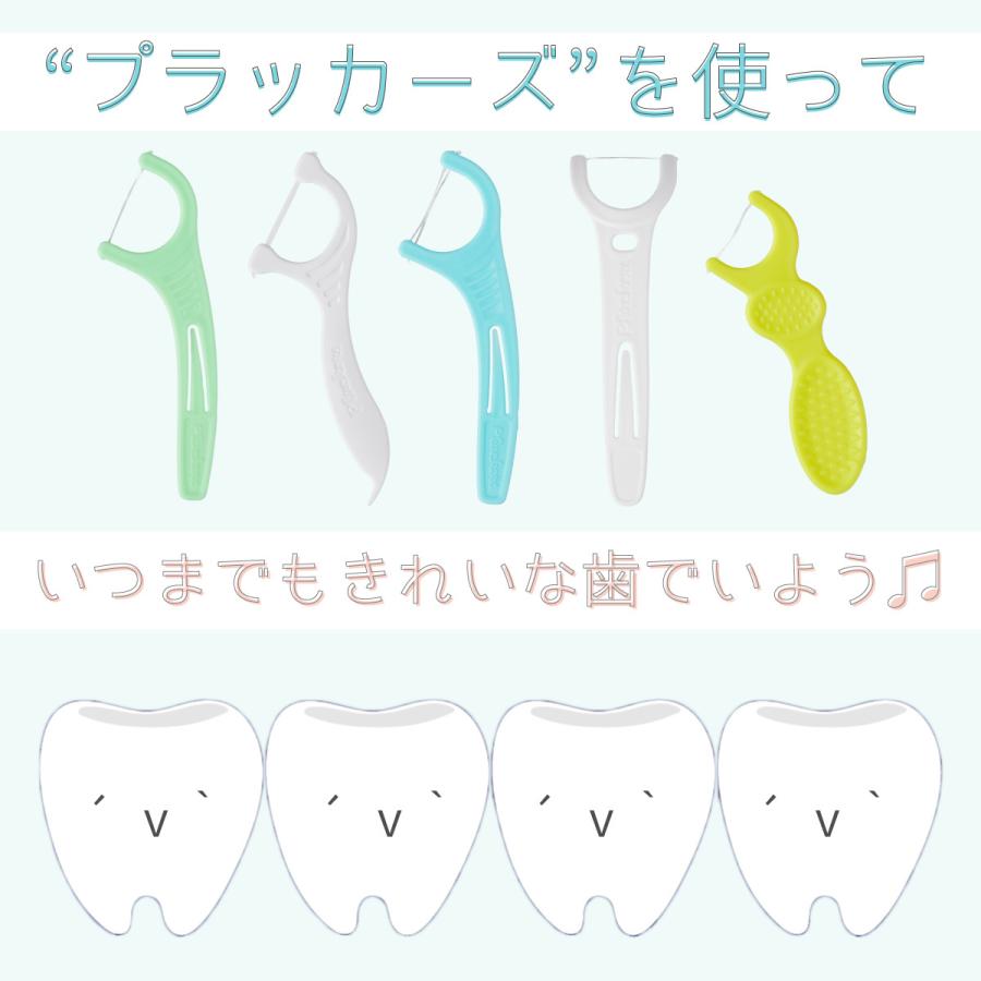 Plackers デンタルフロス ジェントルクリーンミント味 75本