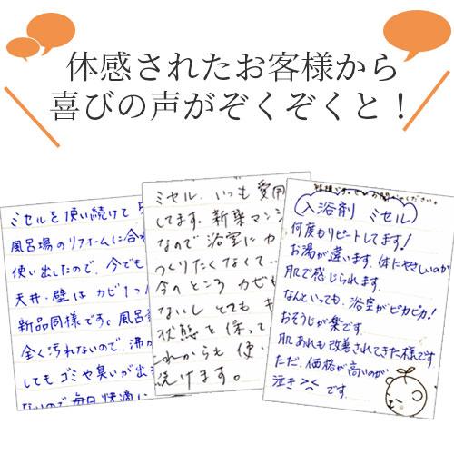 入浴剤 入浴液 ミセル 300ml 詰替用（約60回分） |  | 09