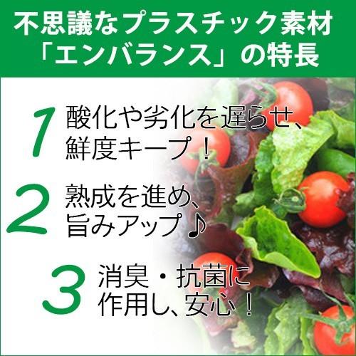 エンバランス バランスラップ 22cm×20m（小） |  | 02