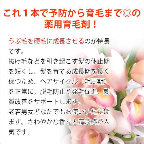 薬用育毛剤　蘭夢(らんむ) 150ml |  | 04