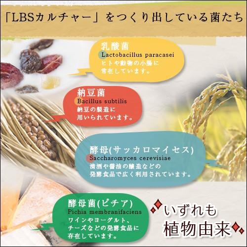 デオエイド（Deoaid）　500mg×60粒入 |  | 03