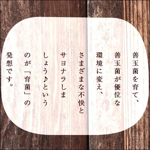 デオエイド（Deoaid）　500mg×60粒入 |  | 04