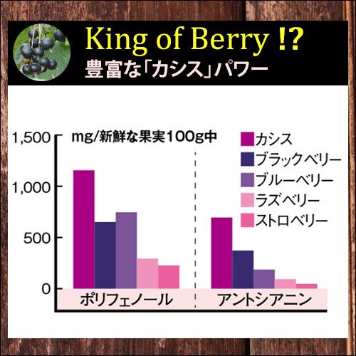 古代のカシス　(6g×30包入) |  | 05