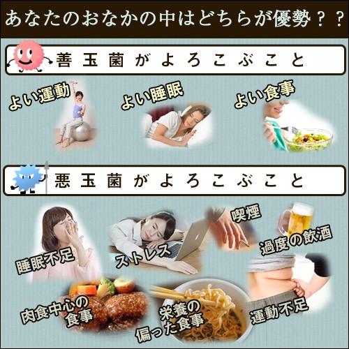 デオフィール（Deofeel）250mg×120粒入 |  | 03