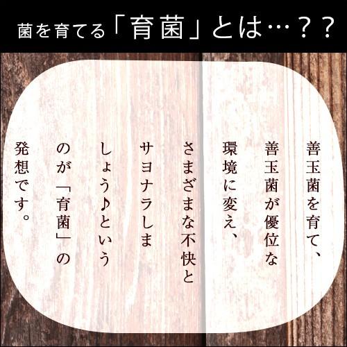 デオフィール（Deofeel）250mg×120粒入 |  | 05