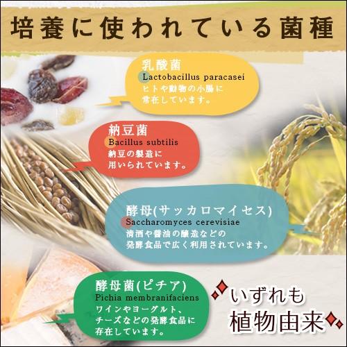 デオフィール（Deofeel）250mg×120粒入 |  | 07