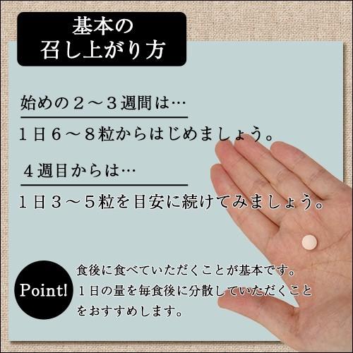 デオフィール（Deofeel）250mg×120粒入 |  | 08