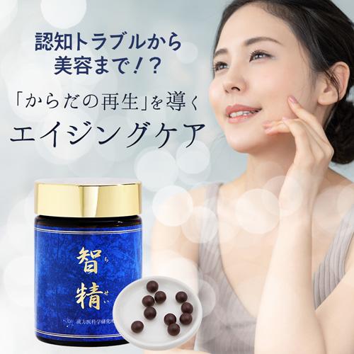 智精（ちせい） |  | 01