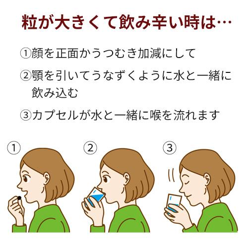 皇帝紅蔘1000（こうていこうじん） 90粒入 |  | 04