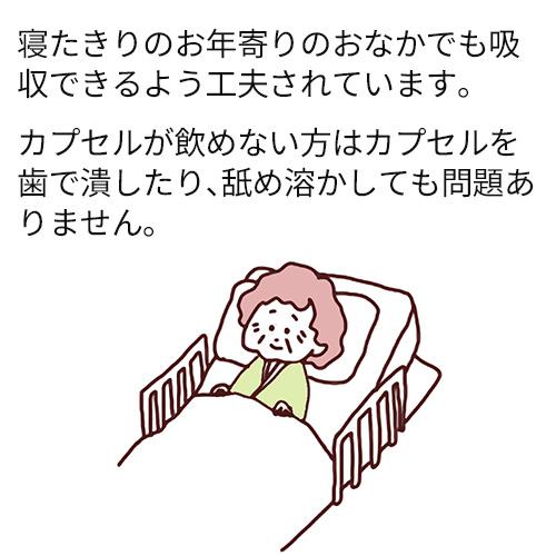 皇帝紅蔘1000（こうていこうじん） 90粒入 |  | 05