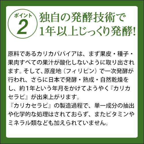 カリカセラピ SAIDO-PS501　(3g×100袋) |  | 02