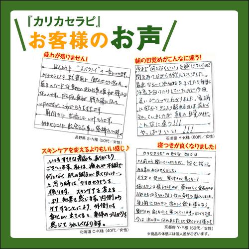 カリカセラピ SAIDO-PS501　(3g×100袋) |  | 04