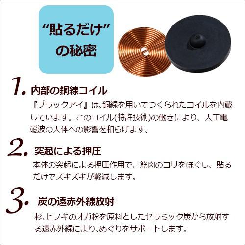 丸山式コイル ブラックアイ 2個入 |  | 02