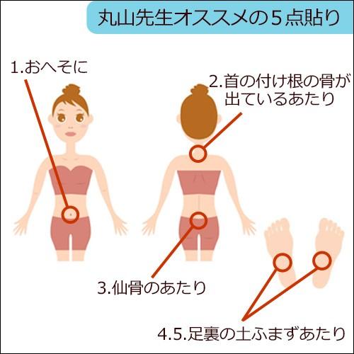 丸山式コイル ブラックアイ 2個入 |  | 03