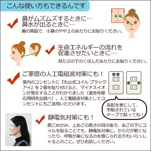 丸山式コイル ブラックアイ 2個入 |  | 04