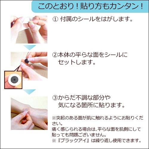 丸山式コイル ブラックアイ 2個入 |  | 05