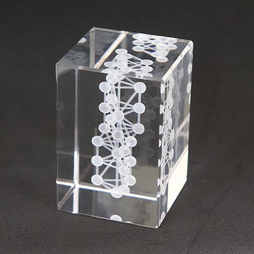 WDカバラ　クリスタル |  | 04