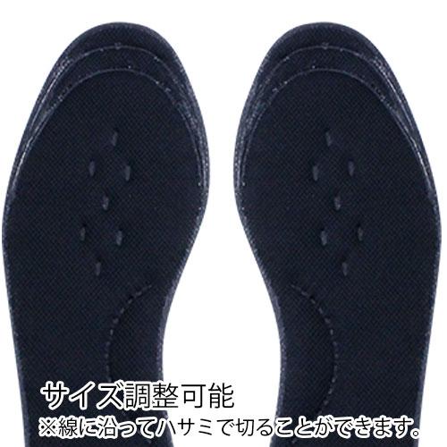 P-UP リカバリーインソール（2枚入、両足用） : トータルヘルス