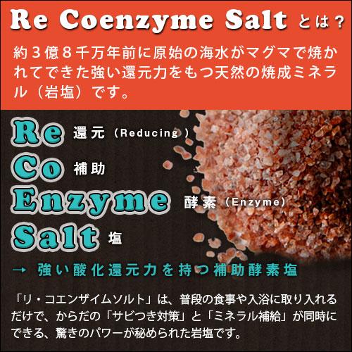 リ・コエンザイム ビオソルト 300g |  | 02