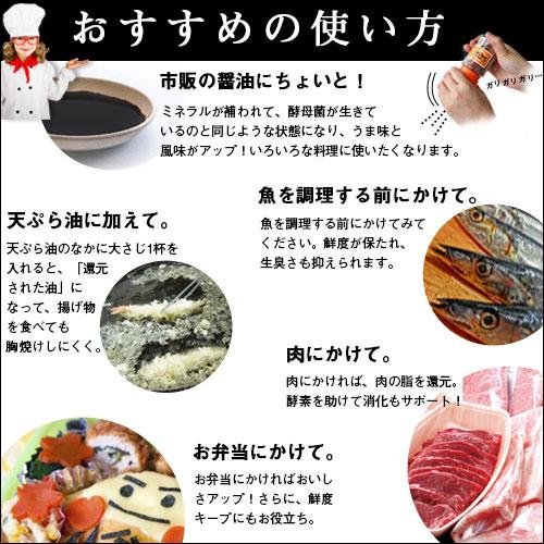 リ・コエンザイム ビオソルト 300g : トータルヘルスデザイン リ・コエンザイム ビオソルト 300g : トータルヘルスデザイン