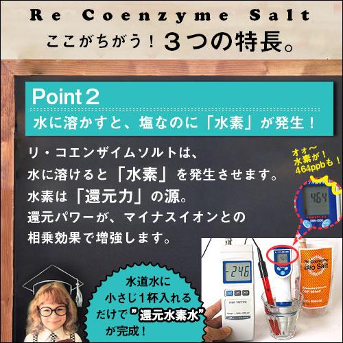リ・コエンザイム ビオソルト 70g×3袋 ミル詰替用 |  | 04