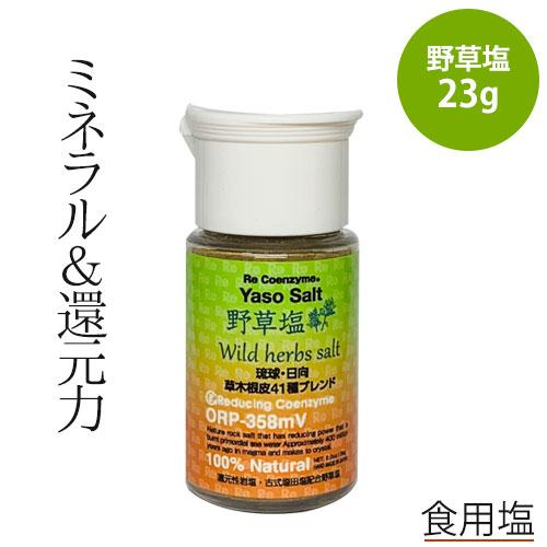 リ・コエンザイム 野草塩 23g 携帯ボトル入り | 