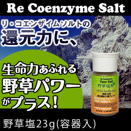 リ・コエンザイム 野草塩 23g 携帯ボトル入り |  | 01