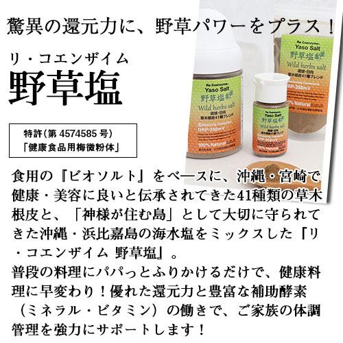 リ・コエンザイム 野草塩 23g 携帯ボトル入り |  | 02