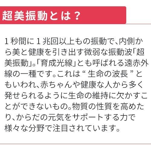 P-UP テラアクティブ ステッカー スモールタイプ 30枚入り |  | 04