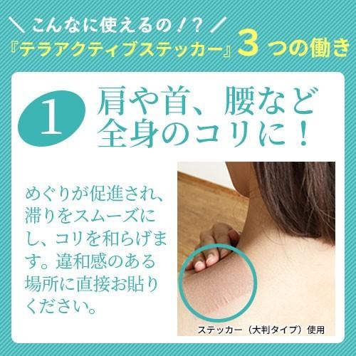 P-UP テラアクティブ ステッカー スモールタイプ 30枚入り |  | 05