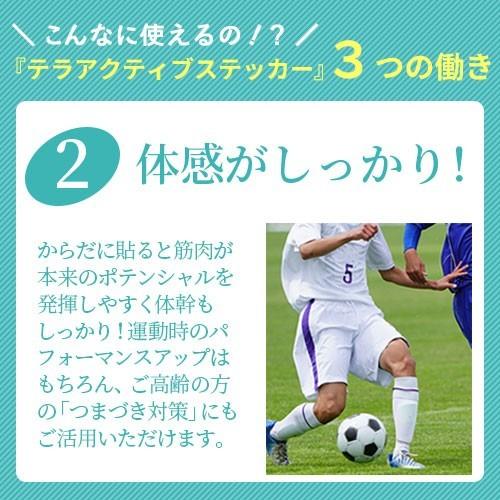 P-UP テラアクティブ ステッカー スモールタイプ 30枚入り |  | 06