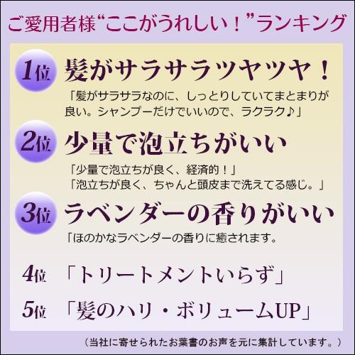 シャンプー ノンシリコン ミネランス シャンプー 500ml |  | 02