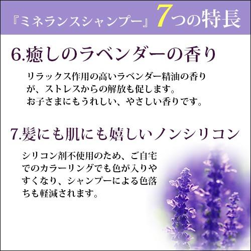 シャンプー ノンシリコン ミネランス シャンプー 500ml |  | 05