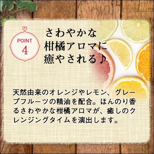 テラの輝き クレンジングリキッド 150ml |  | 06