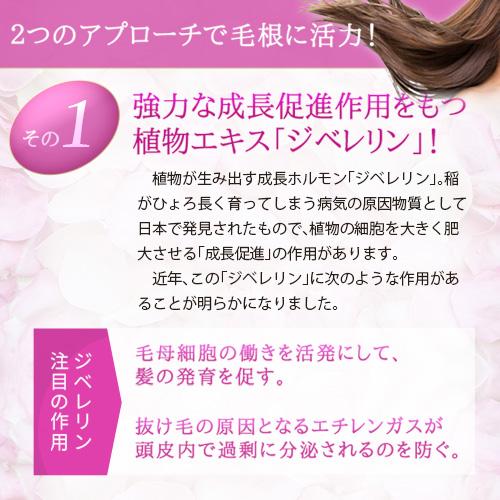 薬用育毛剤 ヘアーリッチEX 100ml |  | 05