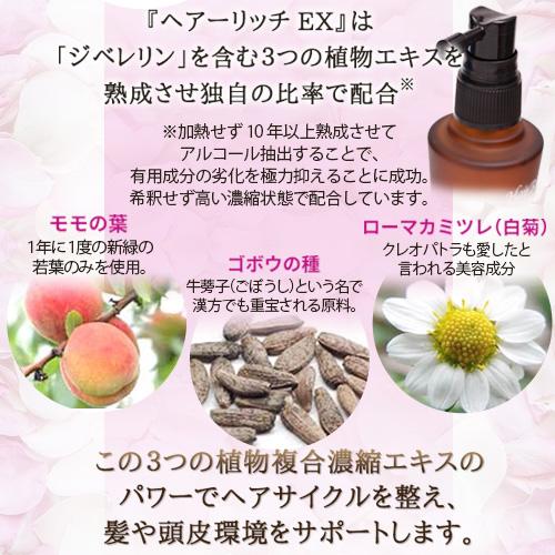 薬用育毛剤 ヘアーリッチEX 100ml |  | 06