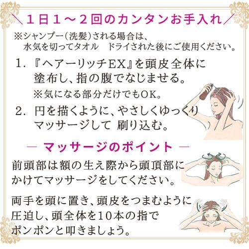 薬用育毛剤 ヘアーリッチEX 100ml |  | 08