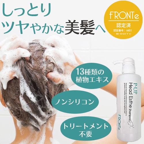 P-UP ヘッドエステシャンプ−EX 480ml |  | 01