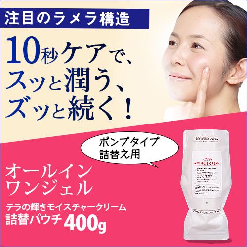 オールインワンジェル テラの輝き モイスチャークリーム 詰替用パウチ400g |  | 01